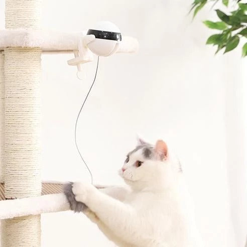 Electronic Motion Interactive Rope Cat Toy